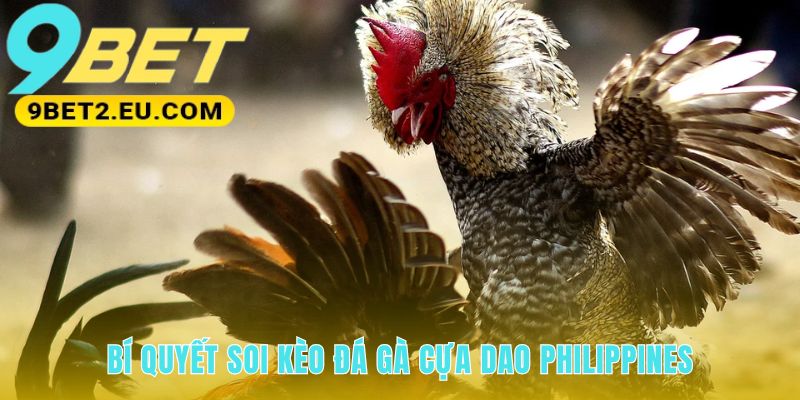 Giải mã tín hiệu từ chiến kê giúp soi kèo chuẩn xác hơn