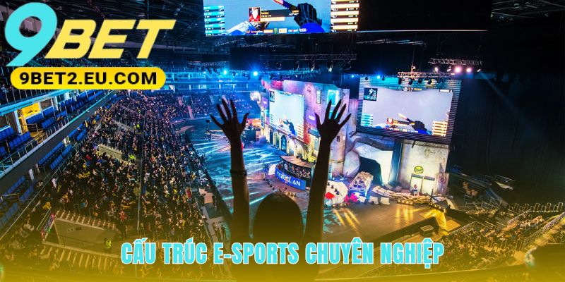 Cấu trúc E-sports chuyên nghiệp gồm nhà phát hành và các đội tuyển