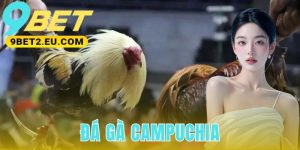 Đá Gà Campuchia
