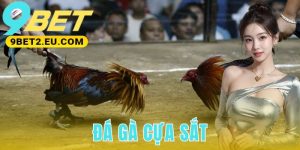 Đá Gà Cựa Sắt