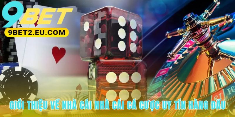 Lịch sử ra đời từ 2021 và nền tảng công nghệ vững chắc