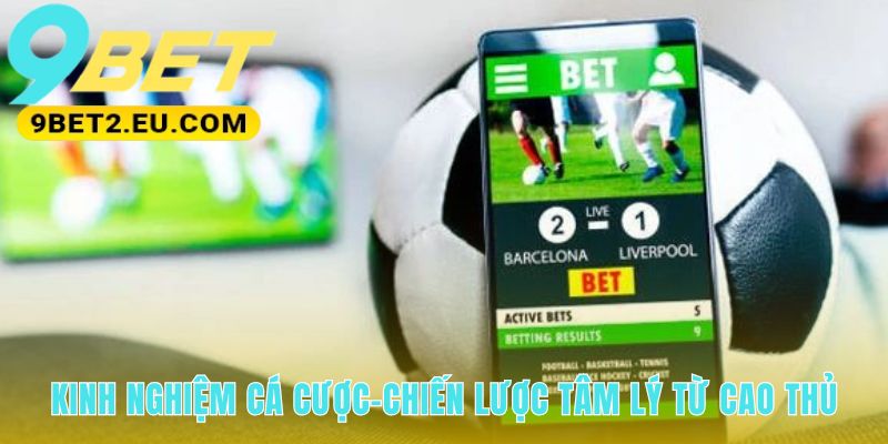 Kinh nghiệm cá cược thể thao từ cao thủ nhấn mạnh kỷ luật tâm lý