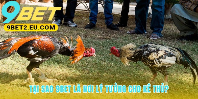 Hệ thống dịch vụ được thiết kế tỉ mỉ cho trải nghiệm hoàn hảo