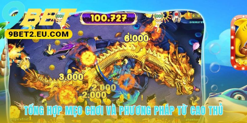 Bốn chiến thuật từ bắn ria an toàn đến săn boss hiệu quả