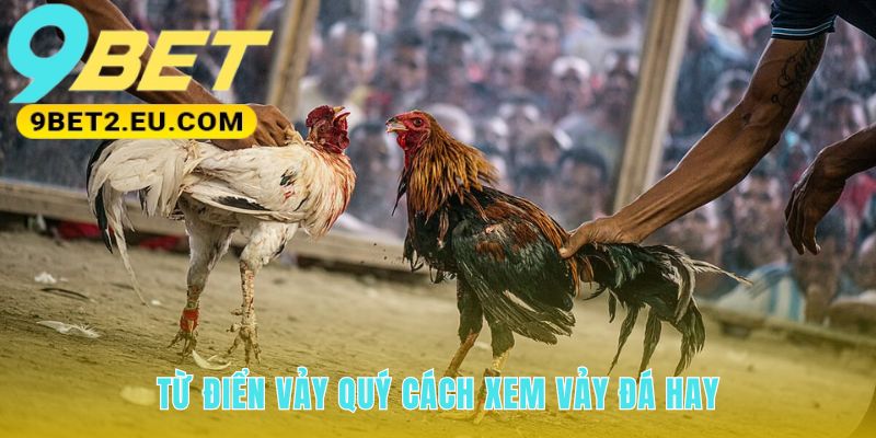 Xem vảy quý để nhận diện con sở hữu đòn đá hiểm hóc